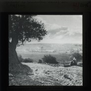 Böhl glass slide 62./2046 II